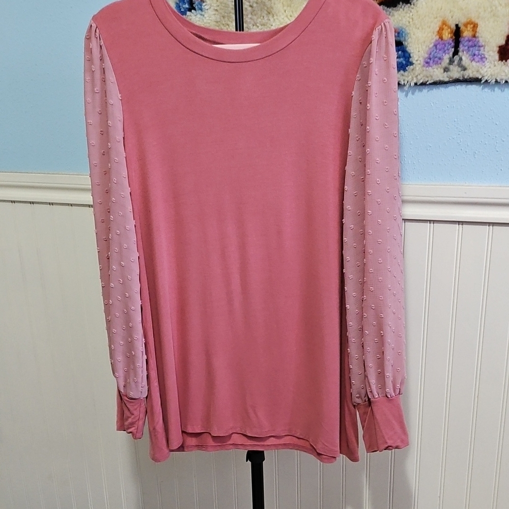 Celeste Pink Long Sleeve Top with Sheer Sleeves